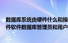 数据库系统由硬件什么和操作系统构成（数据库系统由()硬件软件数据库管理员和用户组成）