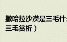 撒哈拉沙漠是三毛什么时候写的（撒哈拉沙漠三毛赏析）