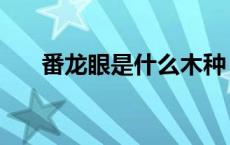 番龙眼是什么木种（番龙眼是什么木）