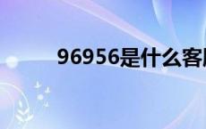 96956是什么客服电话（96956）