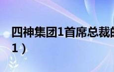 四神集团1首席总裁的逃妻完整版（四神集团1）