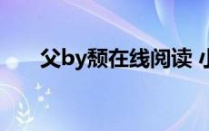父by颓在线阅读 小说（父by颓小说）