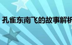 孔雀东南飞的故事解析（孔雀东南飞的故事）