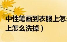 中性笔画到衣服上怎么清除（中性笔画在衣服上怎么洗掉）