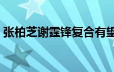 张柏芝谢霆锋复合有望（张柏芝谢霆锋复合）