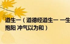 道生一（道德经道生一 一生二 二生三 三生万物 万物负阴而抱阳 冲气以为和）