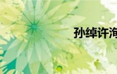 孙绰许洵（孙绰）