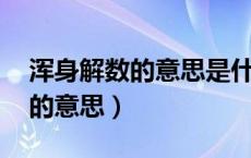 浑身解数的意思是什么 标准答案（浑身解数的意思）