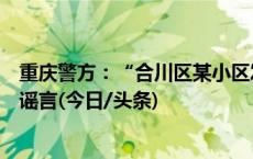 重庆警方：“合川区某小区发生多起持刀入室抢劫案件”系谣言(今日/头条)