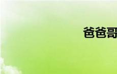 爸爸哥哥不要