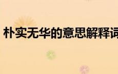朴实无华的意思解释词语（朴实无华的意思）