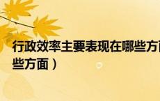 行政效率主要表现在哪些方面内容（行政效率主要表现在哪些方面）