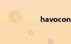 havocon（havoc）