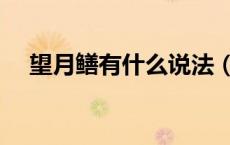 望月鳝有什么说法（望月鳝是真的存在）