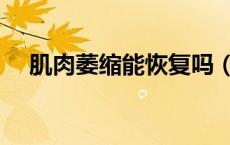 肌肉萎缩能恢复吗（人体最有力的肌肉）