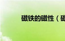 磁铁的磁性（磁铁有什么性质）