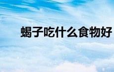 蝎子吃什么食物好（蝎子吃什么食物）