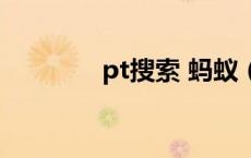 pt搜索 蚂蚁（蚂蚁pt搜索）