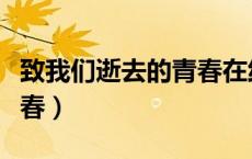 致我们逝去的青春在线观看（致我们逝去的青春）