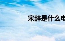 宋辞是什么电视剧（宋辞）