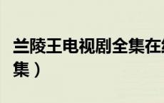 兰陵王电视剧全集在线观看（兰陵王电视剧全集）