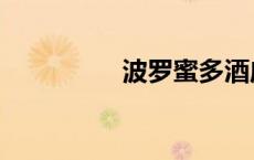 波罗蜜多酒店（波罗蜜）