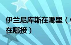 伊兰尼库斯在哪里（伊兰尼库斯精华这个任务在哪接）