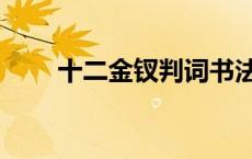 十二金钗判词书法（十二金钗判词）