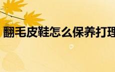 翻毛皮鞋怎么保养打理（翻毛皮鞋怎么保养）