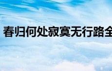 春归何处寂寞无行路全诗的译文（春归何处）