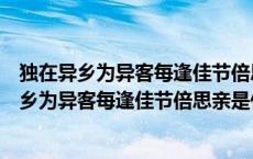 独在异乡为异客每逢佳节倍思亲是什么节日的诗句（独在异乡为异客每逢佳节倍思亲是什么节日）