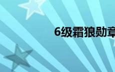 6级霜狼勋章（6级霜狼）