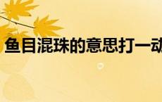 鱼目混珠的意思打一动物（鱼目混珠的意思）
