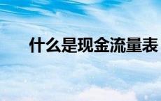 什么是现金流量表（什么是现金流量）