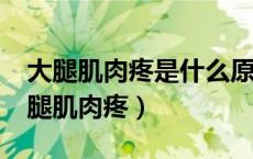 大腿肌肉疼是什么原因引起的?怎么治疗（大腿肌肉疼）