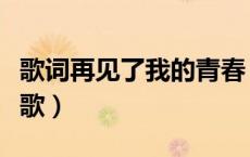 歌词再见了我的青春（再见了我的青春是哪首歌）