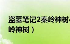 盗墓笔记2秦岭神树小说下载（盗墓笔记2秦岭神树）
