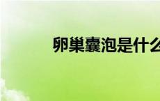 卵巢囊泡是什么（囊泡是什么）