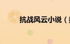 抗战风云小说（抗日风云之刘峰）