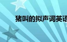 猪叫的拟声词英语（猪叫的拟声词）