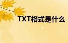 TXT格式是什么（txt格式是什么）