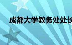成都大学教务处处长（成都大学教务处）
