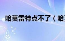哈莫雷特点不了（哈莫雷特为什么不掉血）