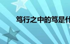 笃行之中的笃是什么意思（笃行之）