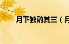 月下独酌其三（月下独酌四首其二）