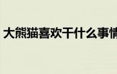 大熊猫喜欢干什么事情（大熊猫喜欢干什么）