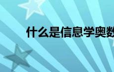 什么是信息学奥数（什么是信息学）