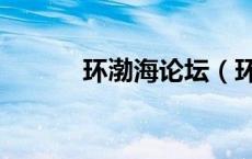 环渤海论坛（环渤海新闻网网）