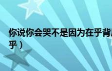 你说你会哭不是因为在乎背后故事（你说你会哭不是因为在乎）