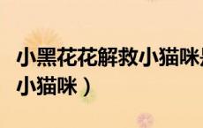小黑花花解救小猫咪是哪一集（小黑花花解救小猫咪）